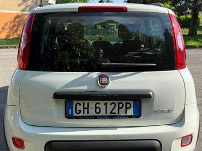 Fiat Panda 1.0 FireFly S&S Hybrid City Life Bianco usata Vigarano Mainarda