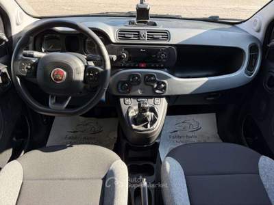 Fiat Panda 1.0 FireFly S&S Hybrid City Life Bianco usata Vigarano Mainarda