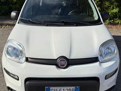 Fiat Panda 1.0 FireFly S&S Hybrid City Life Bianco usata Vigarano Mainarda