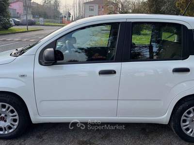 Fiat Panda Panda 1.2 EasyPower Easy Bianco usata Vigarano Mainarda