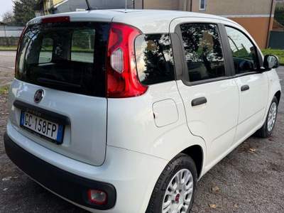 Fiat Panda Panda 1.2 EasyPower Easy Bianco usata Vigarano Mainarda