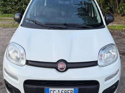 Fiat Panda Panda 1.2 EasyPower Easy Bianco usata Vigarano Mainarda