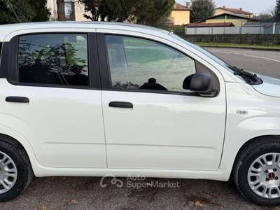 Fiat Panda Panda 1.2 EasyPower Easy Bianco usata Vigarano Mainarda