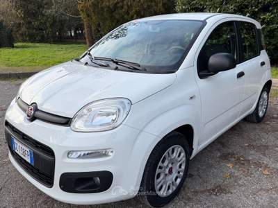 Fiat Panda Panda 1.2 EasyPower Easy Bianco usata Vigarano Mainarda