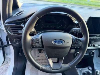 Ford Fiesta Fiesta 1.1 75 CV 5 porte Titanium X NEOPATENTATI Bianco usata Vigarano Mainarda