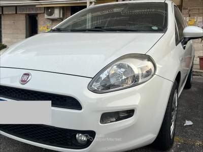 Fiat Punto USATA PER USO DOMESTICO usata Venafro