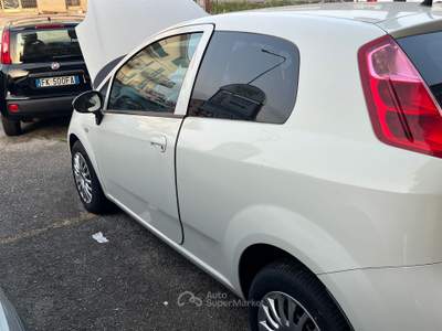 Fiat Punto USATA PER USO DOMESTICO usata Venafro