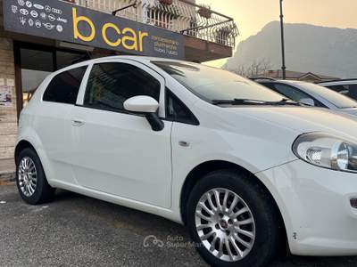 Fiat Punto USATA PER USO DOMESTICO usata Venafro