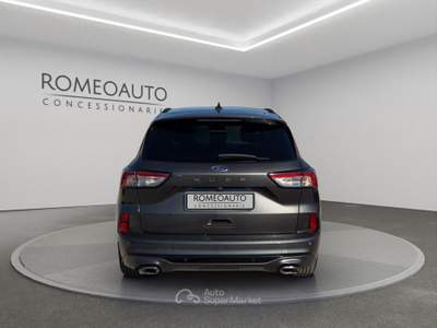 Ford Kuga 2.0 EcoBlue 120 CV aut. 2WD ST-Line Grigio usata Gubbio