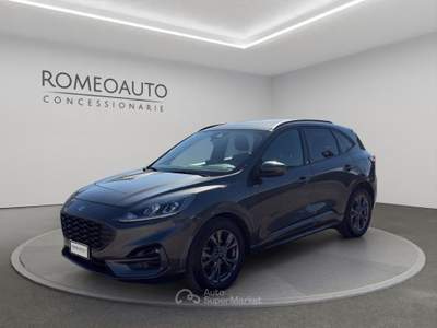 Ford Kuga 2.0 EcoBlue 120 CV aut. 2WD ST-Line Grigio usata Gubbio