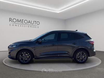 Ford Kuga 2.0 EcoBlue 120 CV aut. 2WD ST-Line Grigio usata Gubbio