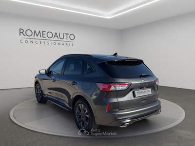 Ford Kuga 2.0 EcoBlue 120 CV aut. 2WD ST-Line Grigio usata Gubbio