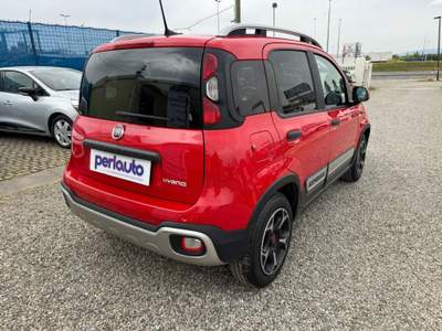 Fiat Panda 1.0 FireFly S&S Hybrid Rosso usata Arezzo