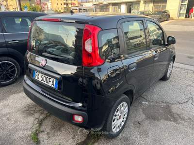 Fiat Panda PANDA C.C. 1,2 BENZINA L’UTILITARIA INTRAMONTABILE usata Venafro