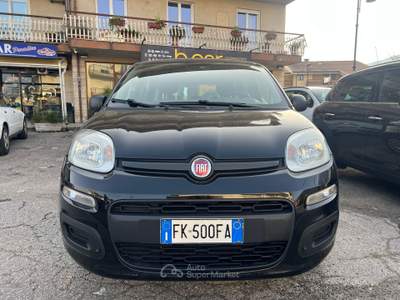 Fiat Panda PANDA C.C. 1,2 BENZINA L’UTILITARIA INTRAMONTABILE usata Venafro