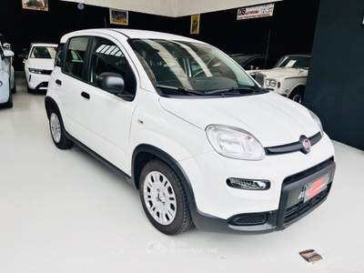 Fiat Panda Cross 1.0 FireFly S&S Hybrid Bianco usata Rosta