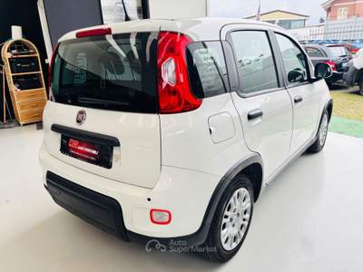 Fiat Panda Cross 1.0 FireFly S&S Hybrid Bianco usata Rosta
