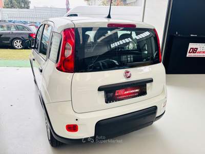 Fiat Panda Cross 1.0 FireFly S&S Hybrid Bianco usata Rosta