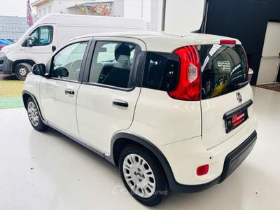 Fiat Panda Cross 1.0 FireFly S&S Hybrid Bianco usata Rosta