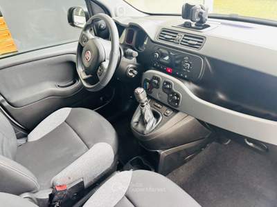 Fiat Panda FireFly S&S Hybrid Sport Bianco usata Rosta