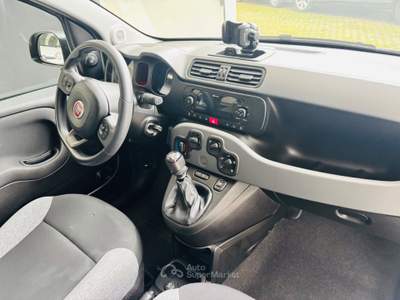 Fiat Panda FireFly S&S Hybrid Sport Bianco usata Rosta