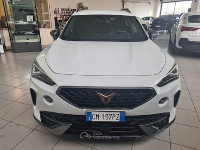 Cupra Formentor 2.0 TDI 4Drive DSG *IVA ESPOSTA* usata Parma