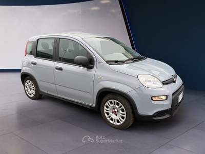 Fiat Panda III 2021 1.0 firefly hybrid s&s 70cv 5p.ti Grigio usata Torino
