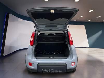 Fiat Panda III 2021 1.0 firefly hybrid s&s 70cv 5p.ti Grigio usata Torino