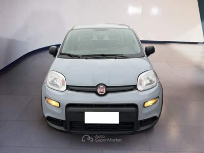 Fiat Panda III 2021 1.0 firefly hybrid s&s 70cv 5p.ti Grigio usata Torino