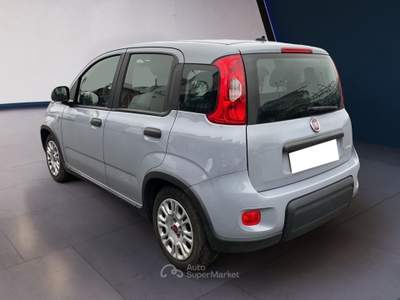 Fiat Panda III 2021 1.0 firefly hybrid s&s 70cv 5p.ti Grigio usata Torino