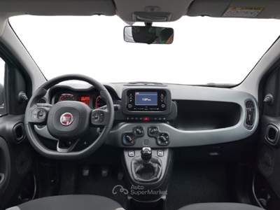 Fiat Panda III 2021 1.0 firefly hybrid s&s 70cv 5p.ti Grigio usata Torino