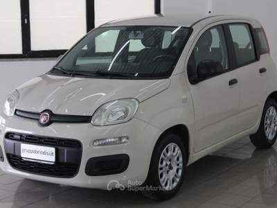 Fiat Panda  1.2 Easy Giallo usata Potenza