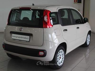 Fiat Panda  1.2 Easy Giallo usata Potenza