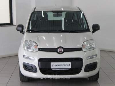 Fiat Panda  1.2 Easy Giallo usata Potenza