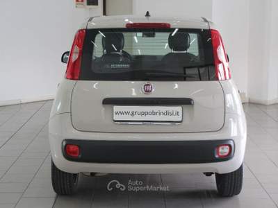 Fiat Panda  1.2 Easy Giallo usata Potenza