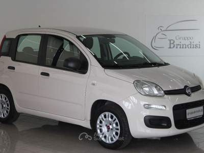 Fiat Panda  1.2 Easy Giallo usata Potenza