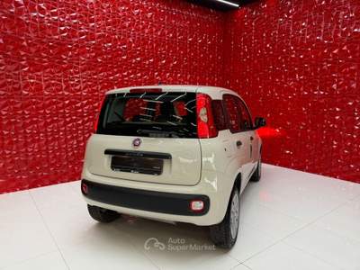 Fiat Panda Turbo Natural Power Lounge OK NEOPATENTATI Beige usata Agliana