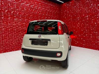Fiat Panda Turbo Natural Power Lounge OK NEOPATENTATI Beige usata Agliana