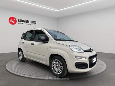 Fiat Panda 1.2 Easy Beige usata Maniago