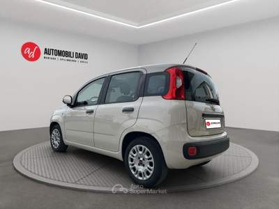 Fiat Panda 1.2 Easy Beige usata Maniago