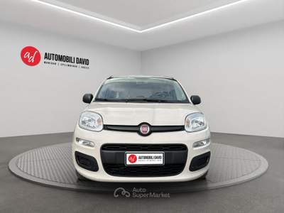 Fiat Panda 1.2 Easy Beige usata Maniago