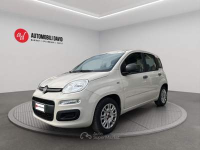 Fiat Panda 1.2 Easy Beige usata Maniago