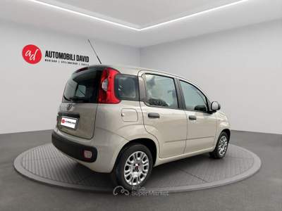 Fiat Panda 1.2 Easy Beige usata Maniago