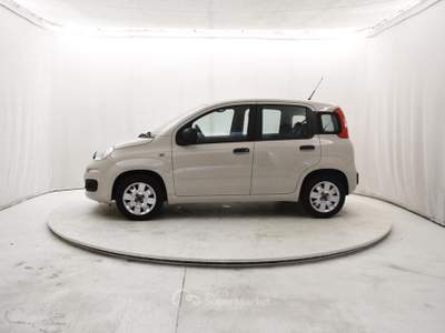 Fiat Panda 1.2 Easy Beige usata Coccaglio