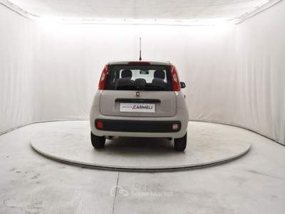 Fiat Panda 1.2 Easy Beige usata Coccaglio