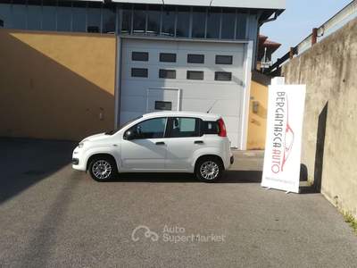 Fiat Panda Panda III 2012 1.2 Easy 69cv E6 Bianco usata Pedrengo