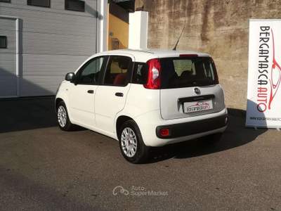Fiat Panda Panda III 2012 1.2 Easy 69cv E6 Bianco usata Pedrengo