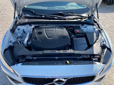 Volvo V60 Dynamic Edition Bianco usata Corato