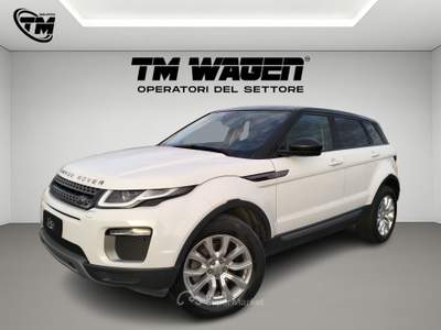 Land Rover Range Rover Evoque Evoque 2.0 td4 SE 150cv auto 4X4 - PER OPERATORI DEL SETTORE Bianco usata Pistoia