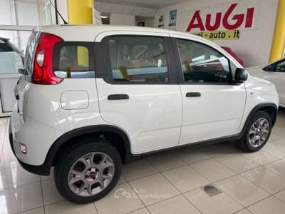 Fiat Panda NEOPATENTAI SI 4x4 Benzina Bianco usata Villa di Tirano